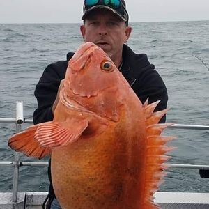 Meet your Posher, Mark